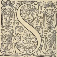 Picture 78 of 291 from L'histoire de la natvre des oyseavx : avec levrs descriptions, & naïfs portraicts retirez du natvrel, escrite en sept livres (1555), leaf 181