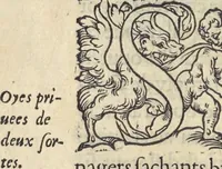 Picture 82 of 291 from L'histoire de la natvre des oyseavx : avec levrs descriptions, & naïfs portraicts retirez du natvrel, escrite en sept livres (1555), leaf 187