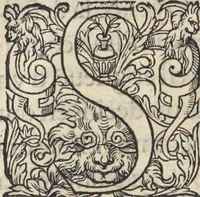 An illustration from L'histoire de la natvre des oyseavx : avec levrs descriptions, & naïfs portraicts retirez du natvrel, escrite en sept livres (1555)