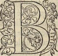 An illustration from L'histoire de la natvre des oyseavx : avec levrs descriptions, & naïfs portraicts retirez du natvrel, escrite en sept livres (1555)