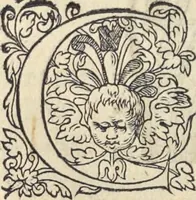 Picture 91 of 291 from L'histoire de la natvre des oyseavx : avec levrs descriptions, & naïfs portraicts retirez du natvrel, escrite en sept livres (1555), leaf 195