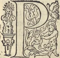 Picture 93 of 291 from L'histoire de la natvre des oyseavx : avec levrs descriptions, & naïfs portraicts retirez du natvrel, escrite en sept livres (1555), leaf 197