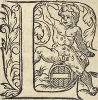 An illustration from L'histoire de la natvre des oyseavx : avec levrs descriptions, & naïfs portraicts retirez du natvrel, escrite en sept livres (1555)