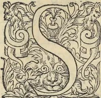 An illustration from L'histoire de la natvre des oyseavx : avec levrs descriptions, & naïfs portraicts retirez du natvrel, escrite en sept livres (1555)