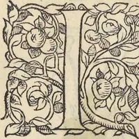 Picture 105 of 291 from L'histoire de la natvre des oyseavx : avec levrs descriptions, & naïfs portraicts retirez du natvrel, escrite en sept livres (1555), leaf 206