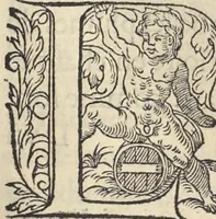 An illustration from L'histoire de la natvre des oyseavx : avec levrs descriptions, & naïfs portraicts retirez du natvrel, escrite en sept livres (1555)