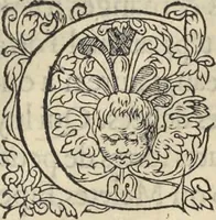 An illustration from L'histoire de la natvre des oyseavx : avec levrs descriptions, & naïfs portraicts retirez du natvrel, escrite en sept livres (1555)