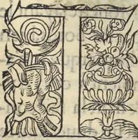 An illustration from L'histoire de la natvre des oyseavx : avec levrs descriptions, & naïfs portraicts retirez du natvrel, escrite en sept livres (1555)
