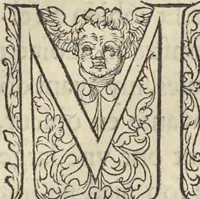 An illustration from L'histoire de la natvre des oyseavx : avec levrs descriptions, & naïfs portraicts retirez du natvrel, escrite en sept livres (1555)
