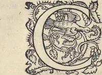 An illustration from L'histoire de la natvre des oyseavx : avec levrs descriptions, & naïfs portraicts retirez du natvrel, escrite en sept livres (1555)