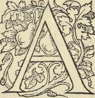 Picture 121 of 291 from L'histoire de la natvre des oyseavx : avec levrs descriptions, & naïfs portraicts retirez du natvrel, escrite en sept livres (1555), leaf 220