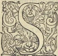 An illustration from L'histoire de la natvre des oyseavx : avec levrs descriptions, & naïfs portraicts retirez du natvrel, escrite en sept livres (1555)