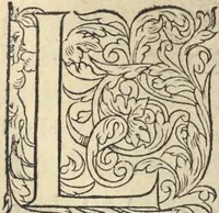 Picture 126 of 291 from L'histoire de la natvre des oyseavx : avec levrs descriptions, & naïfs portraicts retirez du natvrel, escrite en sept livres (1555), leaf 226