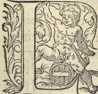 An illustration from L'histoire de la natvre des oyseavx : avec levrs descriptions, & naïfs portraicts retirez du natvrel, escrite en sept livres (1555)