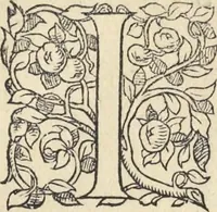 Picture 133 of 291 from L'histoire de la natvre des oyseavx : avec levrs descriptions, & naïfs portraicts retirez du natvrel, escrite en sept livres (1555), leaf 234