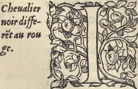 An illustration from L'histoire de la natvre des oyseavx : avec levrs descriptions, & naïfs portraicts retirez du natvrel, escrite en sept livres (1555)