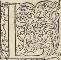 Picture 146 of 291 from L'histoire de la natvre des oyseavx : avec levrs descriptions, & naïfs portraicts retirez du natvrel, escrite en sept livres (1555), leaf 245
