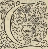 Picture 148 of 291 from L'histoire de la natvre des oyseavx : avec levrs descriptions, & naïfs portraicts retirez du natvrel, escrite en sept livres (1555), leaf 246