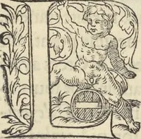 Picture 150 of 291 from L'histoire de la natvre des oyseavx : avec levrs descriptions, & naïfs portraicts retirez du natvrel, escrite en sept livres (1555), leaf 248