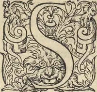An illustration from L'histoire de la natvre des oyseavx : avec levrs descriptions, & naïfs portraicts retirez du natvrel, escrite en sept livres (1555)