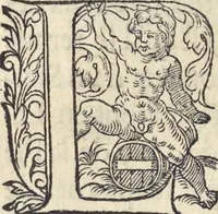 Picture 155 of 291 from L'histoire de la natvre des oyseavx : avec levrs descriptions, & naïfs portraicts retirez du natvrel, escrite en sept livres (1555), leaf 255