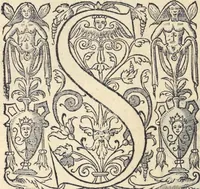 An illustration from L'histoire de la natvre des oyseavx : avec levrs descriptions, & naïfs portraicts retirez du natvrel, escrite en sept livres (1555)