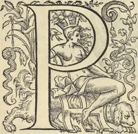 An illustration from L'histoire de la natvre des oyseavx : avec levrs descriptions, & naïfs portraicts retirez du natvrel, escrite en sept livres (1555)
