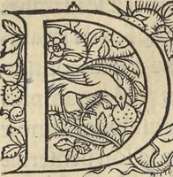 An illustration from L'histoire de la natvre des oyseavx : avec levrs descriptions, & naïfs portraicts retirez du natvrel, escrite en sept livres (1555)