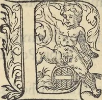 Picture 171 of 291 from L'histoire de la natvre des oyseavx : avec levrs descriptions, & naïfs portraicts retirez du natvrel, escrite en sept livres (1555), leaf 276