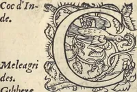 An illustration from L'histoire de la natvre des oyseavx : avec levrs descriptions, & naïfs portraicts retirez du natvrel, escrite en sept livres (1555)