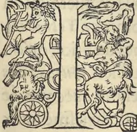 An illustration from L'histoire de la natvre des oyseavx : avec levrs descriptions, & naïfs portraicts retirez du natvrel, escrite en sept livres (1555)