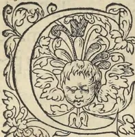 An illustration from L'histoire de la natvre des oyseavx : avec levrs descriptions, & naïfs portraicts retirez du natvrel, escrite en sept livres (1555)