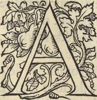 An illustration from L'histoire de la natvre des oyseavx : avec levrs descriptions, & naïfs portraicts retirez du natvrel, escrite en sept livres (1555)