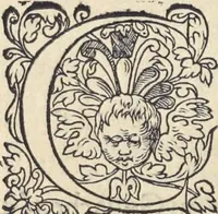 An illustration from L'histoire de la natvre des oyseavx : avec levrs descriptions, & naïfs portraicts retirez du natvrel, escrite en sept livres (1555)