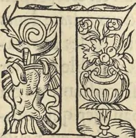 An illustration from L'histoire de la natvre des oyseavx : avec levrs descriptions, & naïfs portraicts retirez du natvrel, escrite en sept livres (1555)