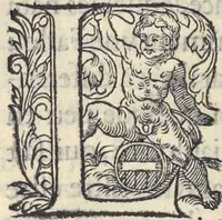An illustration from L'histoire de la natvre des oyseavx : avec levrs descriptions, & naïfs portraicts retirez du natvrel, escrite en sept livres (1555)