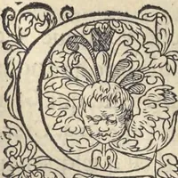 An illustration from L'histoire de la natvre des oyseavx : avec levrs descriptions, & naïfs portraicts retirez du natvrel, escrite en sept livres (1555)
