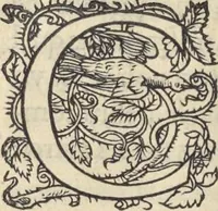 An illustration from L'histoire de la natvre des oyseavx : avec levrs descriptions, & naïfs portraicts retirez du natvrel, escrite en sept livres (1555)