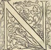 An illustration from L'histoire de la natvre des oyseavx : avec levrs descriptions, & naïfs portraicts retirez du natvrel, escrite en sept livres (1555)