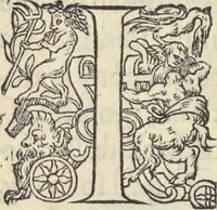 An illustration from L'histoire de la natvre des oyseavx : avec levrs descriptions, & naïfs portraicts retirez du natvrel, escrite en sept livres (1555)