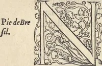 Picture 214 of 291 from L'histoire de la natvre des oyseavx : avec levrs descriptions, & naïfs portraicts retirez du natvrel, escrite en sept livres (1555), leaf 323