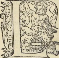 An illustration from L'histoire de la natvre des oyseavx : avec levrs descriptions, & naïfs portraicts retirez du natvrel, escrite en sept livres (1555)