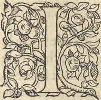 Picture 233 of 291 from L'histoire de la natvre des oyseavx : avec levrs descriptions, & naïfs portraicts retirez du natvrel, escrite en sept livres (1555), leaf 344