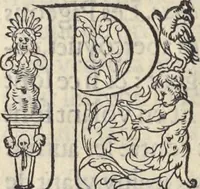 Picture 235 of 291 from L'histoire de la natvre des oyseavx : avec levrs descriptions, & naïfs portraicts retirez du natvrel, escrite en sept livres (1555), leaf 347