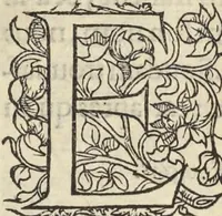 An illustration from L'histoire de la natvre des oyseavx : avec levrs descriptions, & naïfs portraicts retirez du natvrel, escrite en sept livres (1555)