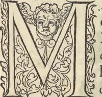 An illustration from L'histoire de la natvre des oyseavx : avec levrs descriptions, & naïfs portraicts retirez du natvrel, escrite en sept livres (1555)