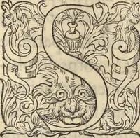 Picture 248 of 291 from L'histoire de la natvre des oyseavx : avec levrs descriptions, & naïfs portraicts retirez du natvrel, escrite en sept livres (1555), leaf 360