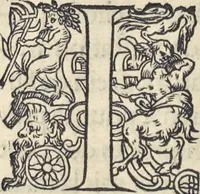 Picture 254 of 291 from L'histoire de la natvre des oyseavx : avec levrs descriptions, & naïfs portraicts retirez du natvrel, escrite en sept livres (1555), leaf 371