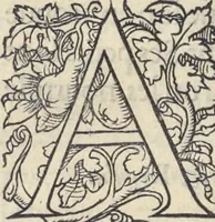 Picture 258 of 291 from L'histoire de la natvre des oyseavx : avec levrs descriptions, & naïfs portraicts retirez du natvrel, escrite en sept livres (1555), leaf 375