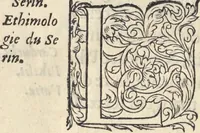 Picture 265 of 291 from L'histoire de la natvre des oyseavx : avec levrs descriptions, & naïfs portraicts retirez du natvrel, escrite en sept livres (1555), leaf 385
